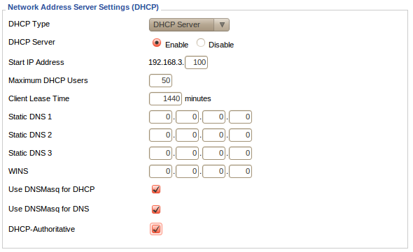 Make sure you have "Use DNSMasq for DHCP" Checked